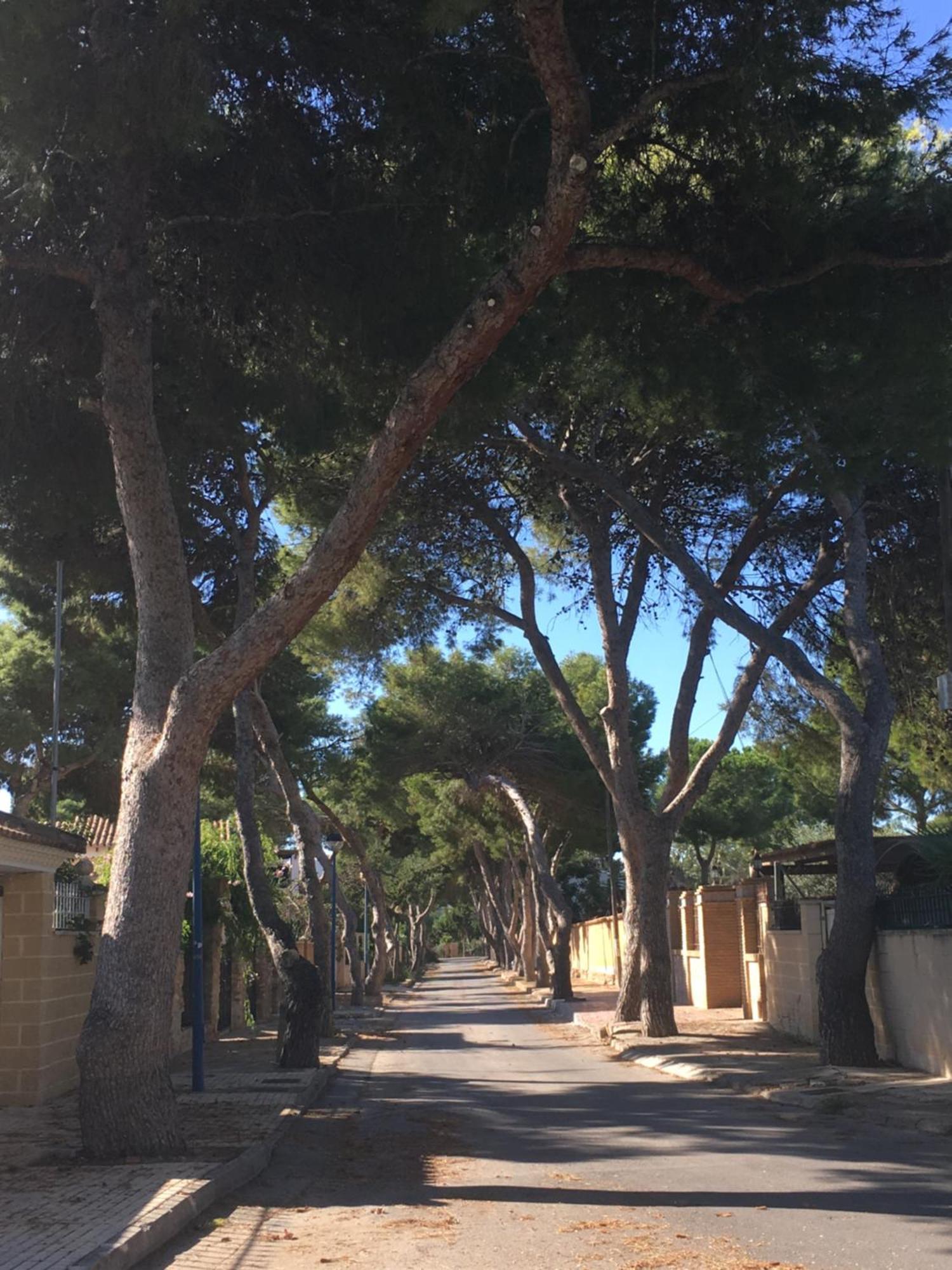 Feriehus Alicante トレビエハ エクステリア 写真