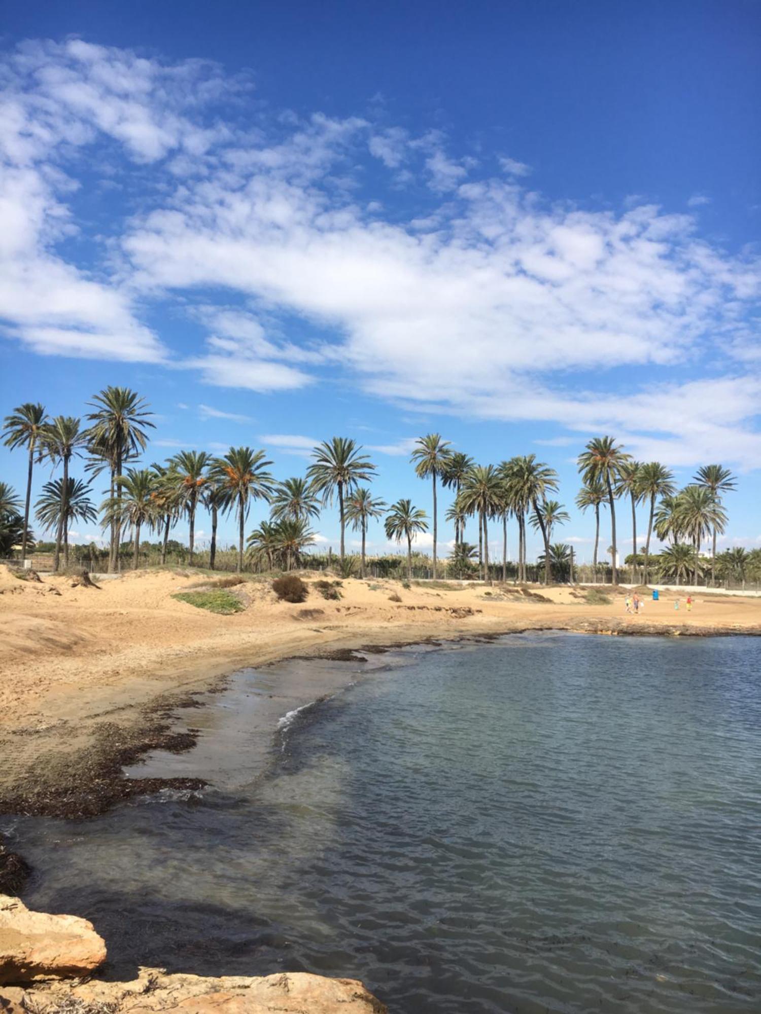 Feriehus Alicante トレビエハ エクステリア 写真
