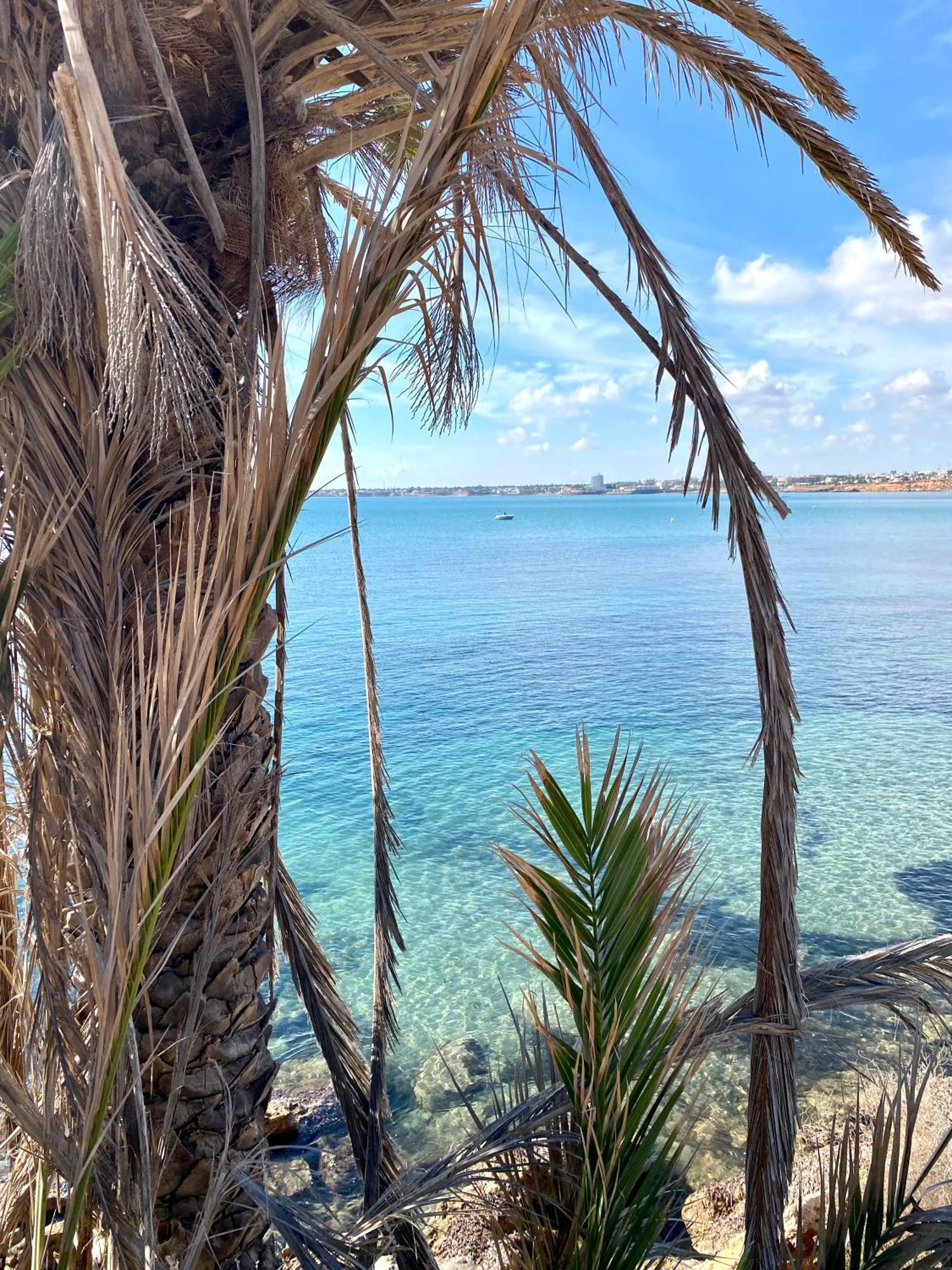 Feriehus Alicante トレビエハ エクステリア 写真